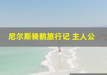 尼尔斯骑鹅旅行记 主人公